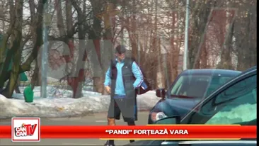 Pandi forteaza vara