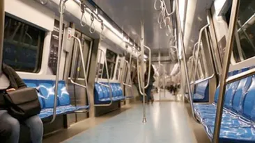 Bucureștenii au avut astăzi un șoc. Ce animale au fost fotografiate plimbându-se în metrou
