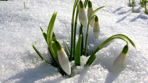 Prognoza meteo pentru 1 martie. ANM, anunț neașteptat pentru săptămâna viitoare