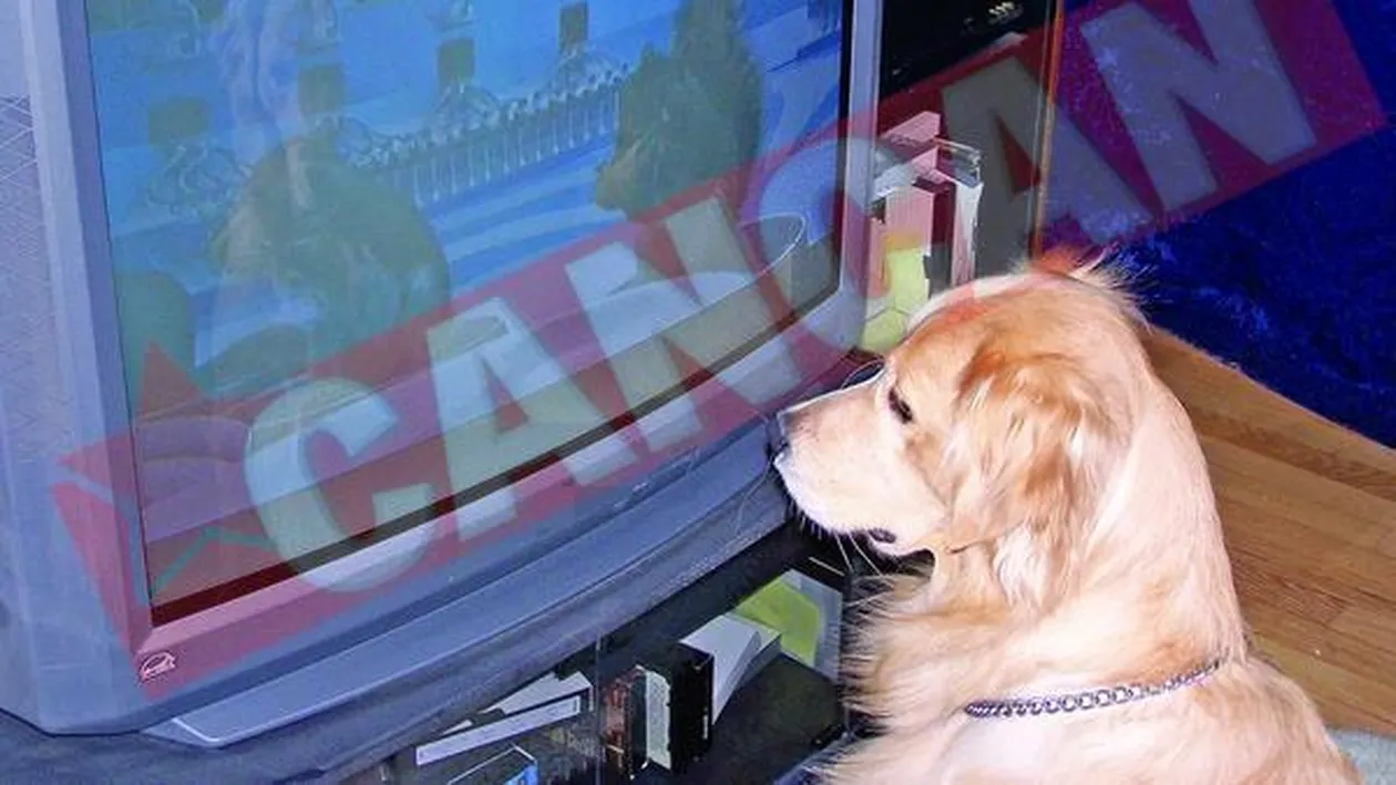 Liber la moguli pe piata TV?