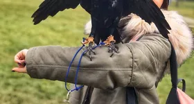 Galerie foto - poza 3