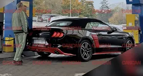 Galerie foto - poza 2