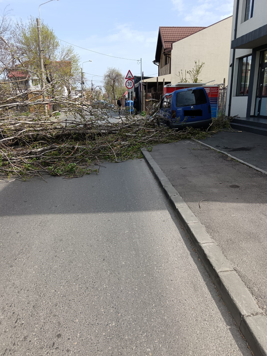Furtuna a făcut ravagii în Capitală!