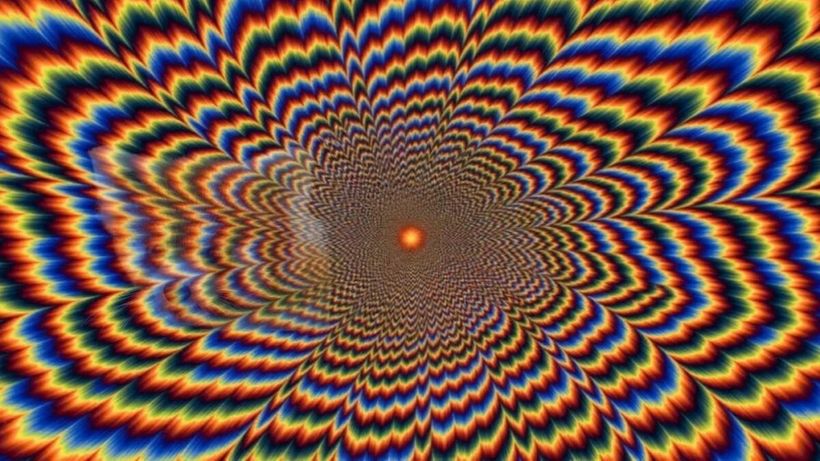 Iluzie optică virală | Numai geniile văd ce animal se ascunde în această imagine, în 5 secunde