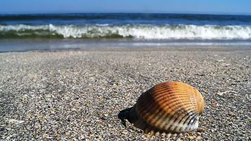 IMAGINI EXCLUSIVE Ce au făcut românii pe plajele de pe litoral, după distracţia din Noaptea de Înviere