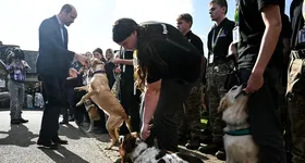 Galerie foto - poza 2