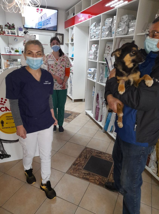 Maria este ajutată de mai mulți oameni cu suflet mare să aibă grijă de sutele de câini