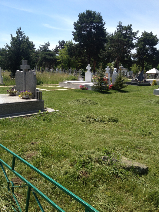 La mormântul Ilenei Ciuculete au fost plantaţi brăduţi, la două luni de la înmormântare