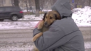 Emotionant! Catelusa Ema este mascota Politiei Locale a Municipiului Bucuresti!