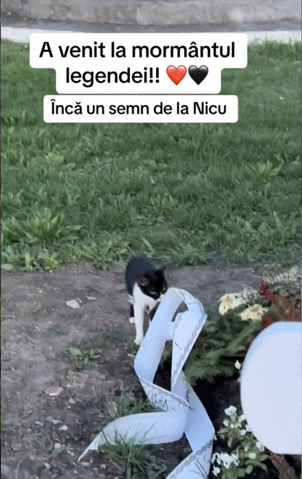 Cum arată mormântul lui Nicu Covaci, la 2 luni de la moartea sa. Ce a apărut lângă cruce: „Tu, dar cum ai venit…”