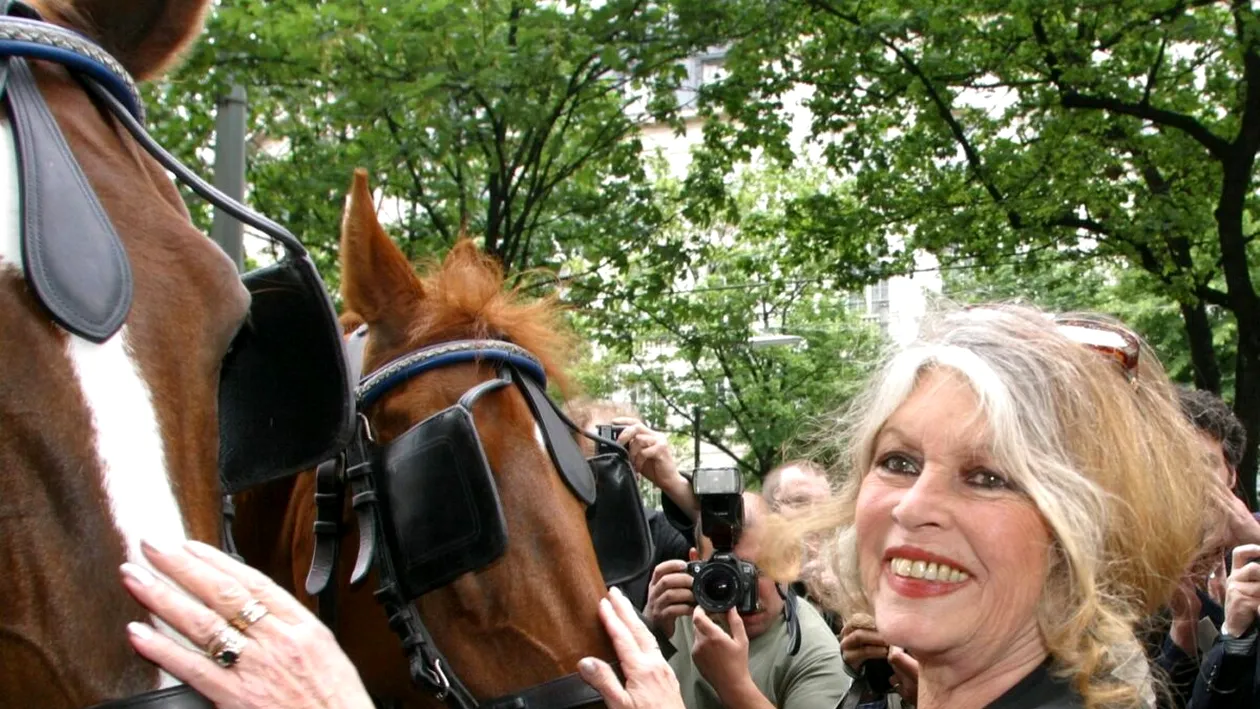 Anunțul momentului despre Brigitte Bardot! Ce se întâmplă cu actrița, după ce a fost diagnosticată cu o boală gravă