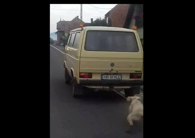 Halucinant! Cine este bărbatul din Harghita care a legat câinele de mașină și l-a târât pe șosea