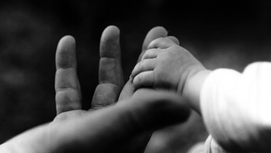 Vedete care au fost adoptate. Nici prin cap nu îţi trece cine este pe listă