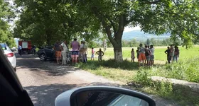 Galerie foto - poza 3