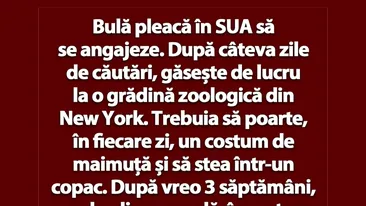 BANC | Bulă pleacă în SUA să se angajeze