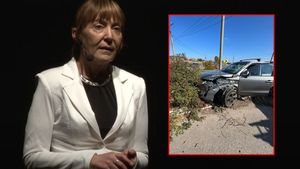Martor la accidentul în care a fost implicată Monica Macovei, dezvăluiri de ultimă oră: ”Este răspunderea ei”