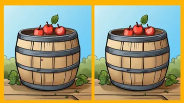 Test de perspicacitate | 3 diferențe în 13 secunde: Le puteți găsi pe toate? Foarte puțini o văd pe cea de-a treia