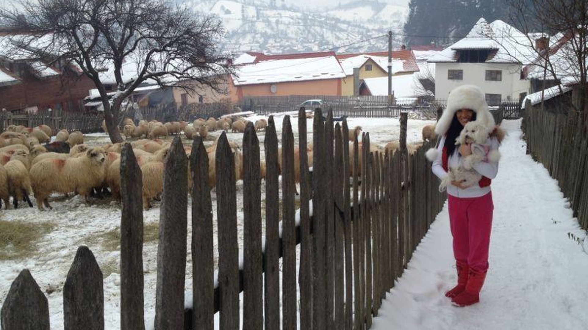 Adelina Pestriţu, ciobănaş cu 300 de oi! Şi-a dus căţeluşa la stână