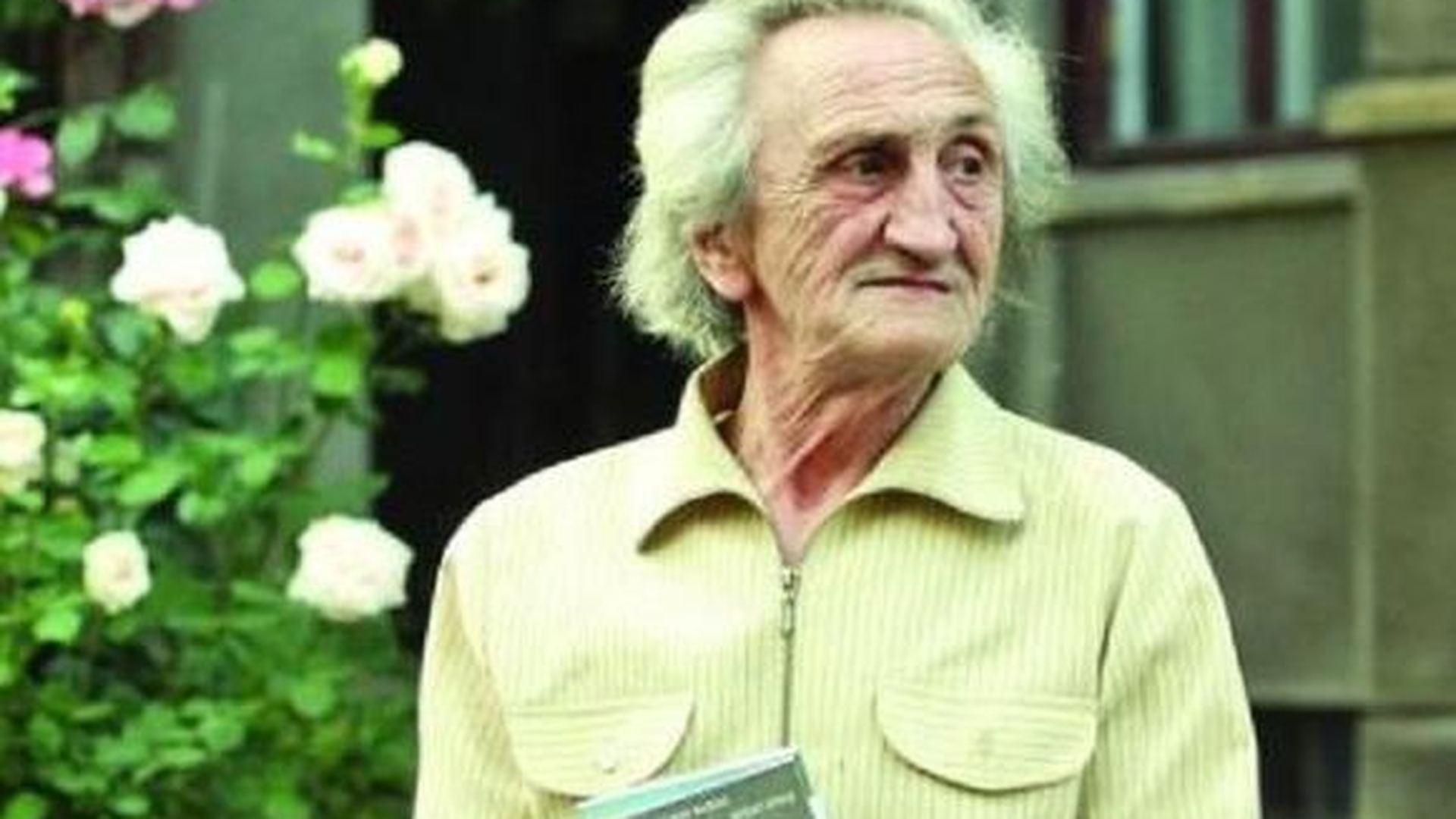 Zi trista pentru lumea filmului din Romania! Regizorul Dinu Cocea a incetat din viata!