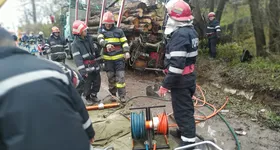 Galerie foto - poza 4