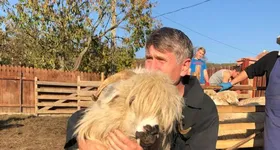 Galerie foto - poza 2