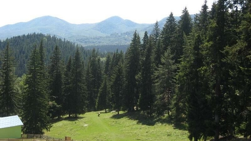 Stațiunea cu cel mai curat aer din România nu este la munte. Puțini știu de ea