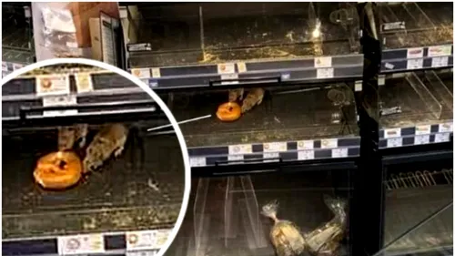 Reprezentanții Mega Image, reacție la imaginea cu șobolanii umblând pe rafturile magazinului din Sectorul 1