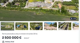 Galerie foto - poza 1