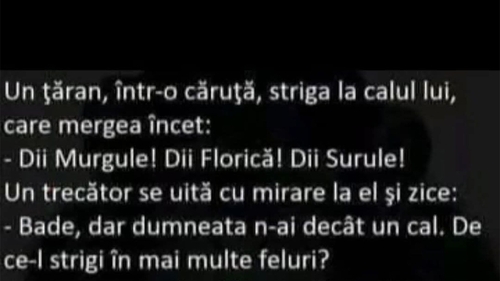 BANCUL ZILEI | "Diii, Murgule! Dii, Florică! Dii, Surule!"