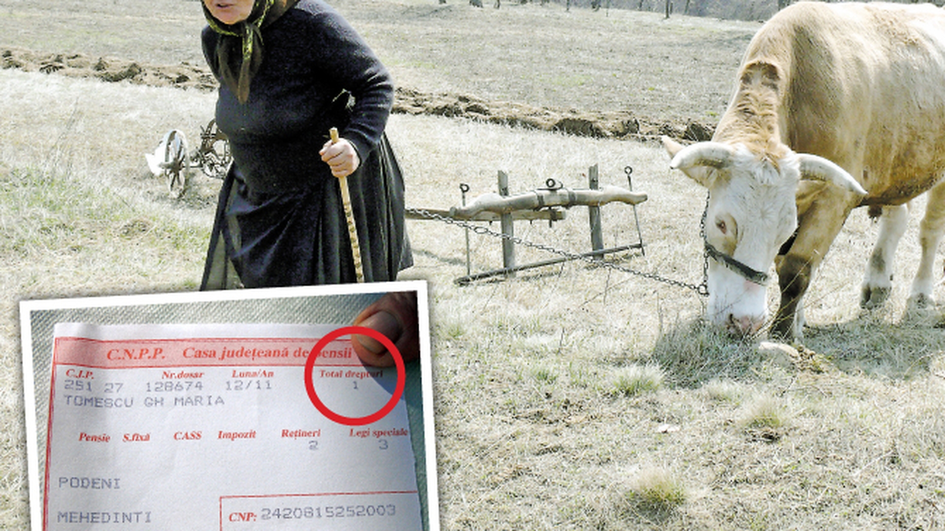 Satul cu cele mai mici pensii! Saracie lucie la Malarisca, judetul Mehedinti
