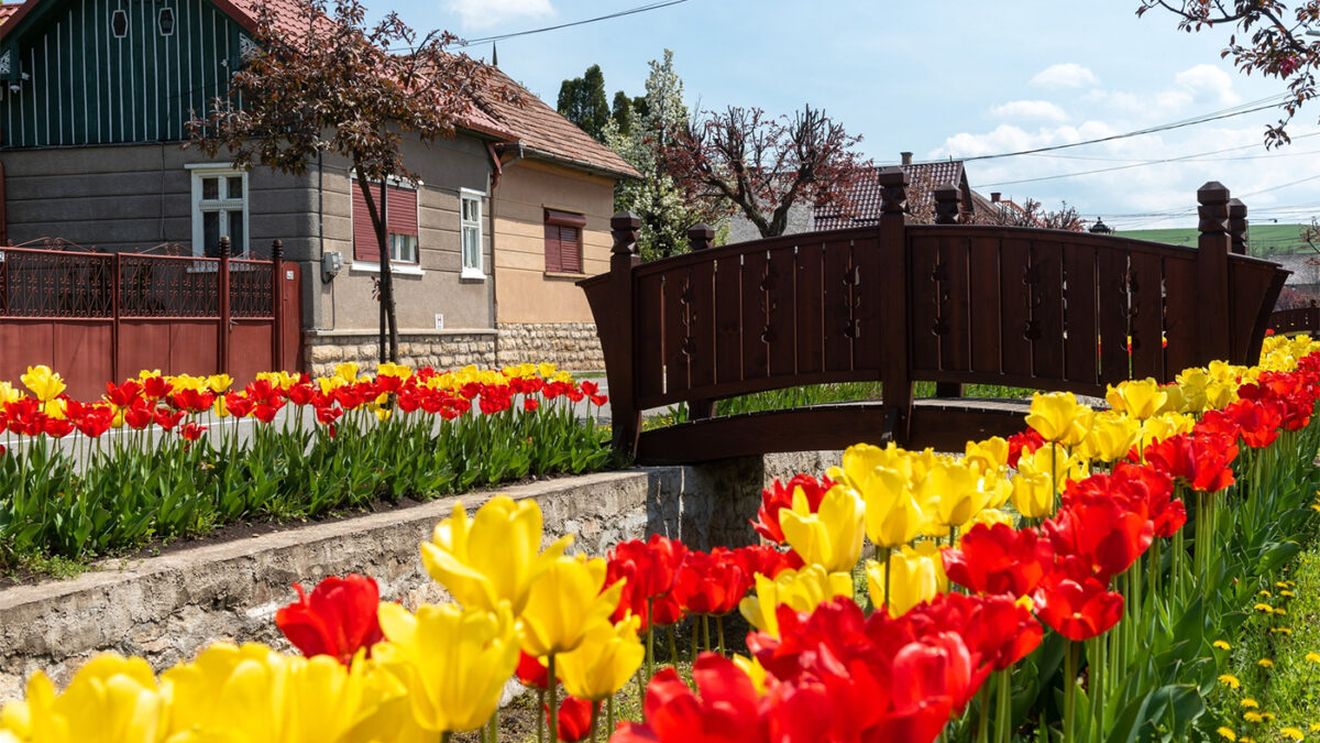 Localitatea din țara noastră care seamănă izbitor cu Olanda. Foarte puțini români au auzit de ea