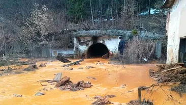 Poluare cu apă de mină într-o comună din Maramureș. Apa roșie a omorât peștii din râul Lăpuș și a ajuns pe șosea
