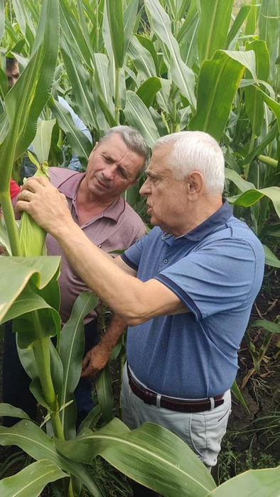 Șoc înainte de Crăciun! Soția lui Petre Daea a cerut ordin de protecție împotriva fostului ministru al Agriculturii!