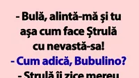 BANC | Bulă, alintă-mă și tu așa cum face Ștrulă cu nevastă-sa!