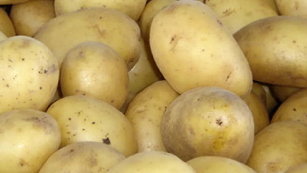 Peste 20 de tone de cartofi din Germania au fost confiscate, la Petrosani