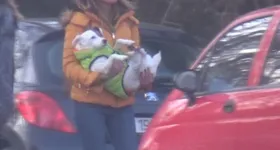 Galerie foto - poza 1