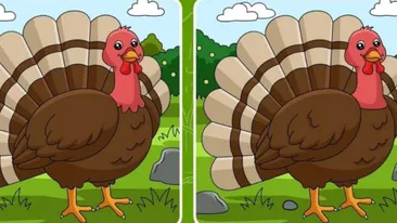 TEST IQ |  Găsiți cele 3 diferențe dintre aceste două poze. Geniile o fac în maximum 10 secunde!