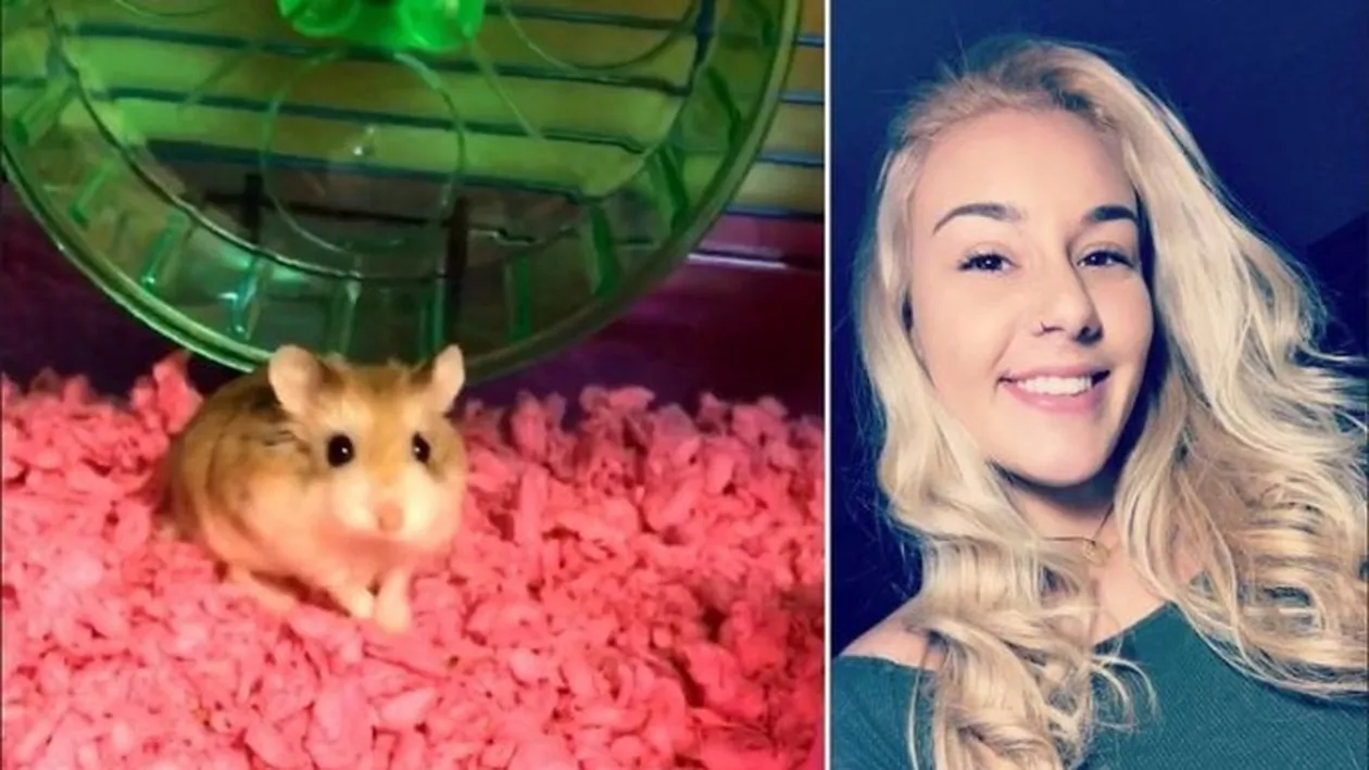 O femeie a fost obligată de o companie aeriană să-şi arunce hamsterul la toaletă, înainte de a se urca în avion!