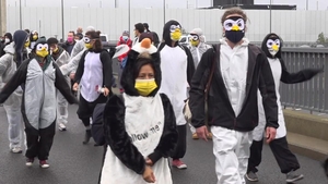 Aeroportul inaugurat în pandemie, după nouă ani de întârziere, a produs revoltă la Berlin. Activiștii au protestat costumați în pinguini