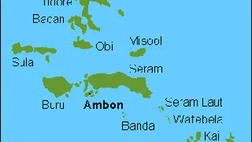 Patru romani din Cluj, arestati si judecati in Indonezia pentru ca au distribuit Biblii penticostale!