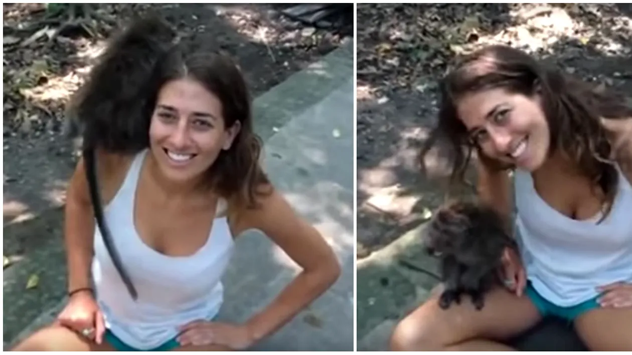 A vrut sa se filmeze langa maimuta asta, dar totul a luat-o razna in doar cateva secunde! La inceput e adorabila, dar pe urma… VIDEO