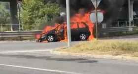 Galerie foto - poza 2