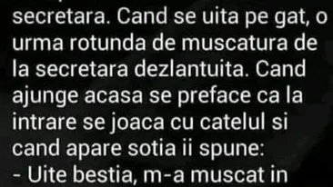 BANC | Un tip face amor nebun cu secretara. Când se uită pe gât, vede o urmă de mușcătură de la secretara dezlănțuită