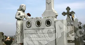 Galerie foto - poza 1