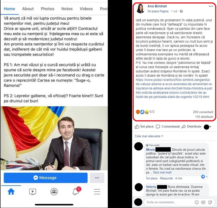 Ionel Arsene și Ana Birchall, scandal teribil în politica din România! “Curcă securistă și urâtă cu spume” VS “exemplu de grobianism”