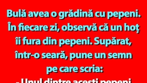 BANC | Bulă avea o grădină cu pepeni