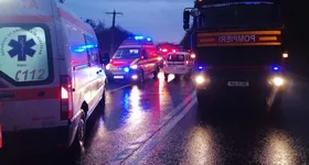 Galerie foto - poza 2