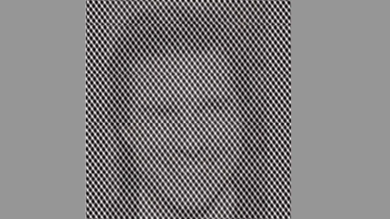 Iluzia optică de weekend | Doar geniile văd ce vedetă se ascunde în spatele acestei imagini!