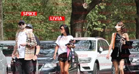 Galerie foto - poza 1