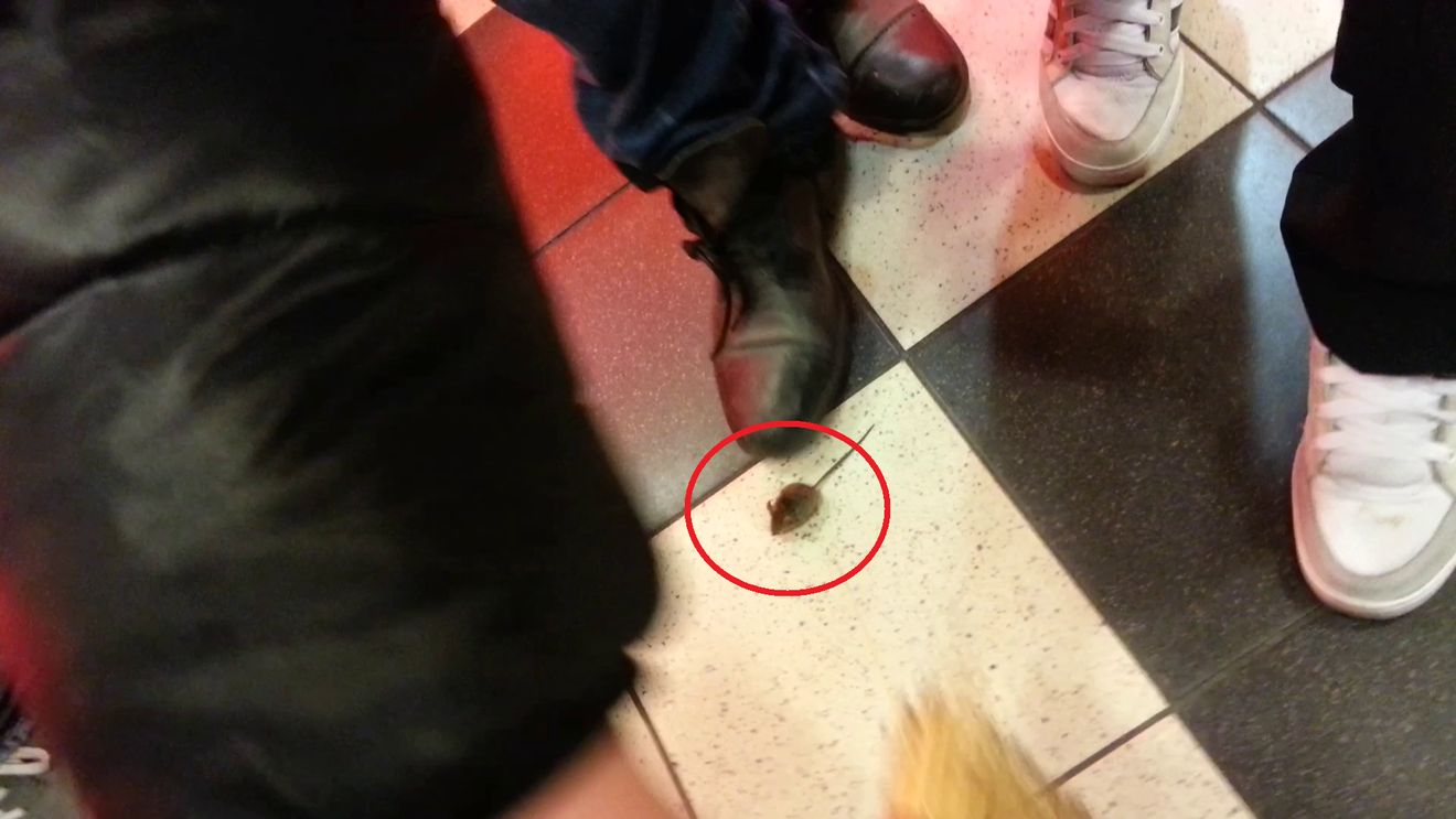 Paparazii Cancan nu sunt asa rai cum spune Andreea Marin! Paparazzii au salvat un soricel in Amsterdam!